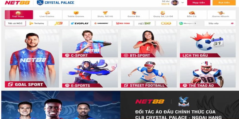 Đánh giá chi tiết các dịch vụ tại Đại lý Net88